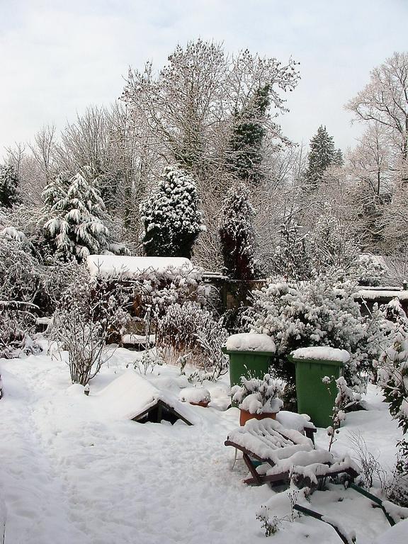 Holly Cottages Bowness-on-Windermere Ngoại thất bức ảnh
