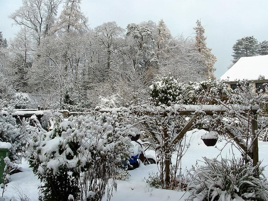Holly Cottages Bowness-on-Windermere Ngoại thất bức ảnh